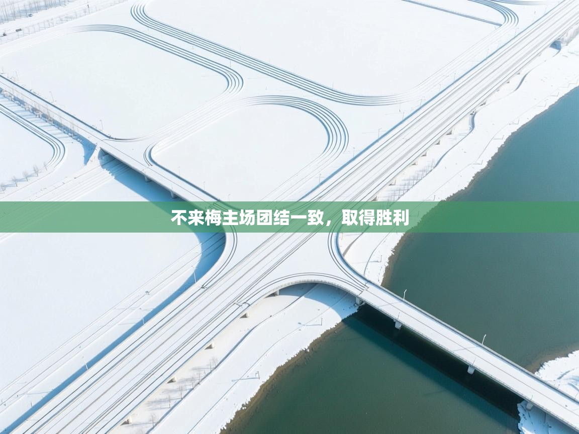 不来梅主场团结一致，取得胜利