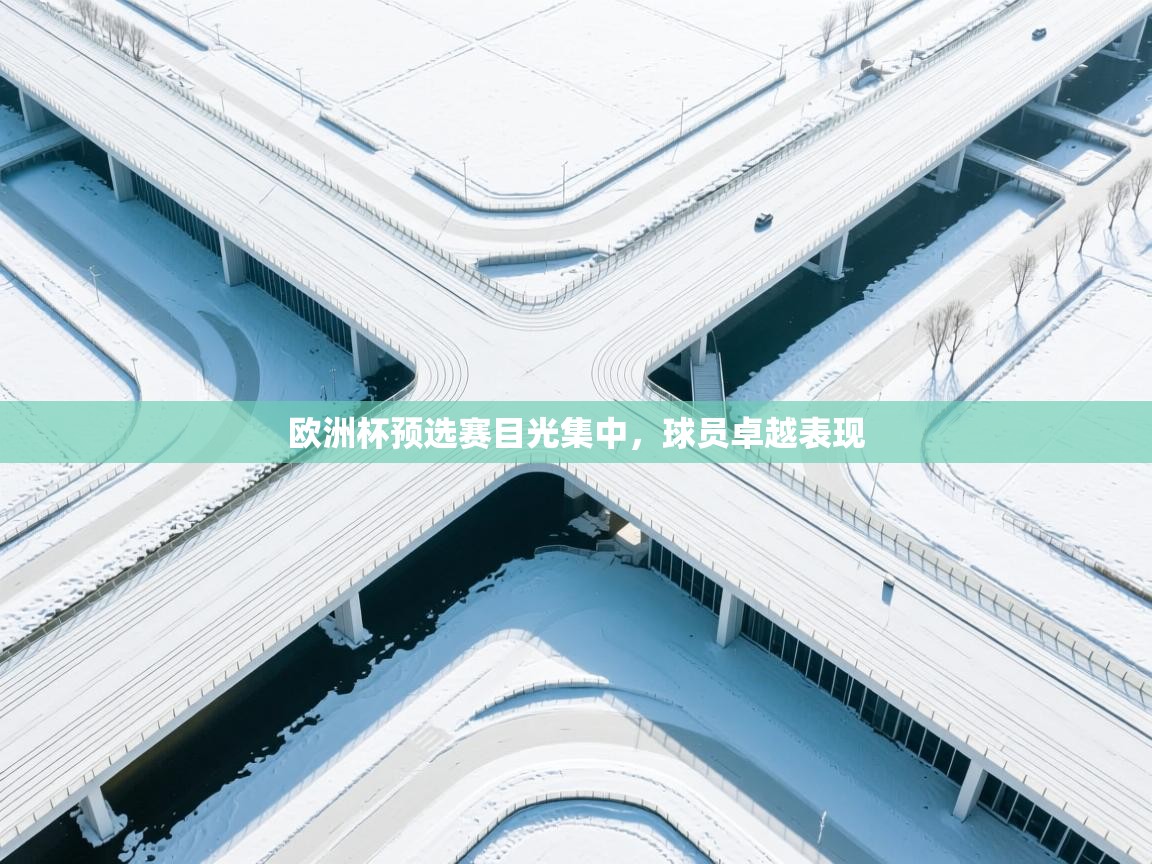 欧洲杯预选赛目光集中，球员卓越表现