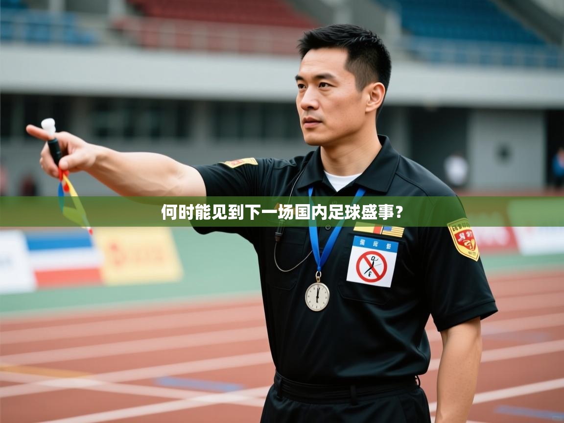 何时能见到下一场国内足球盛事？