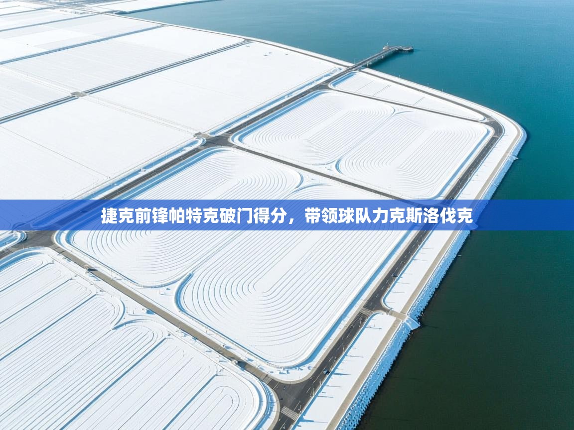 捷克前锋帕特克破门得分，带领球队力克斯洛伐克